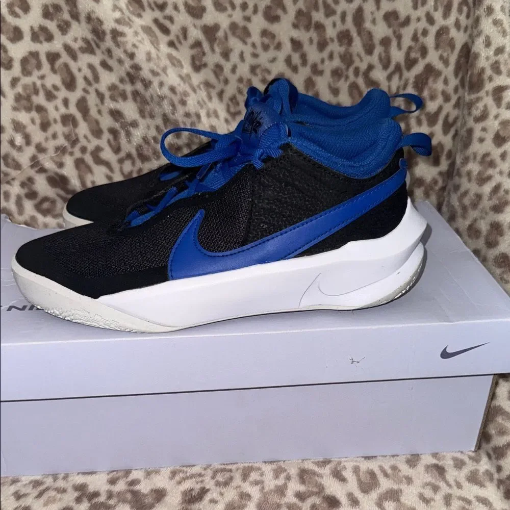 Nike Black & Royal Blue Low-Top Sneakers